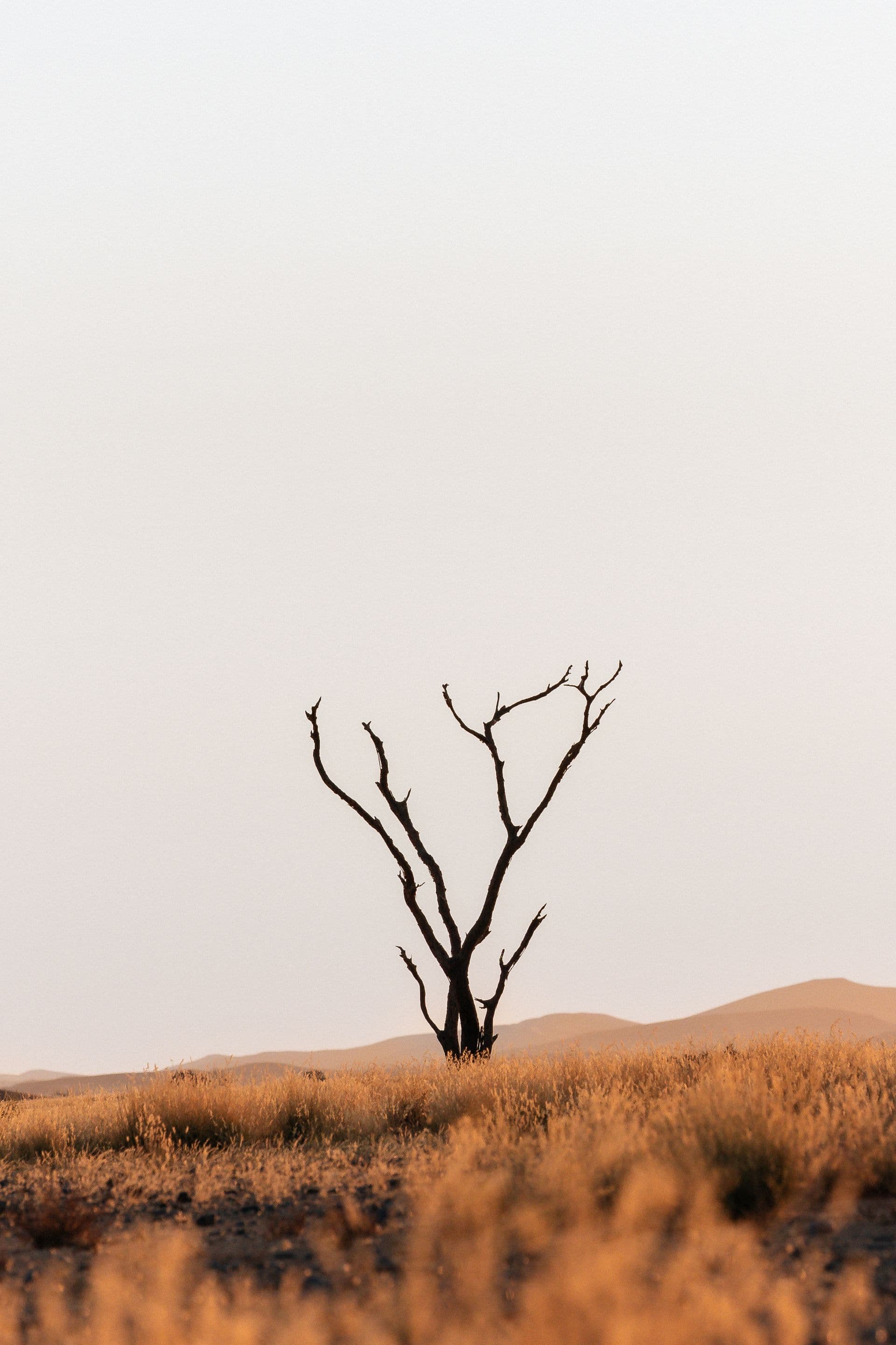 Namibia Expedition