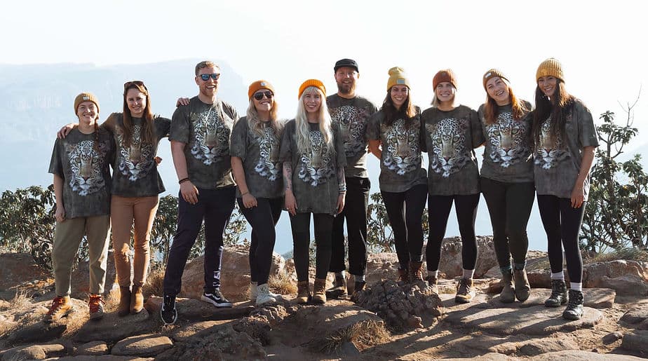 Rainforest Background