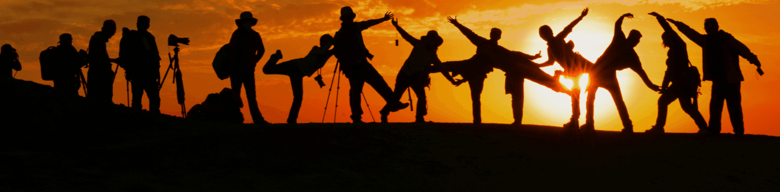 The Search for Giants - Image 2