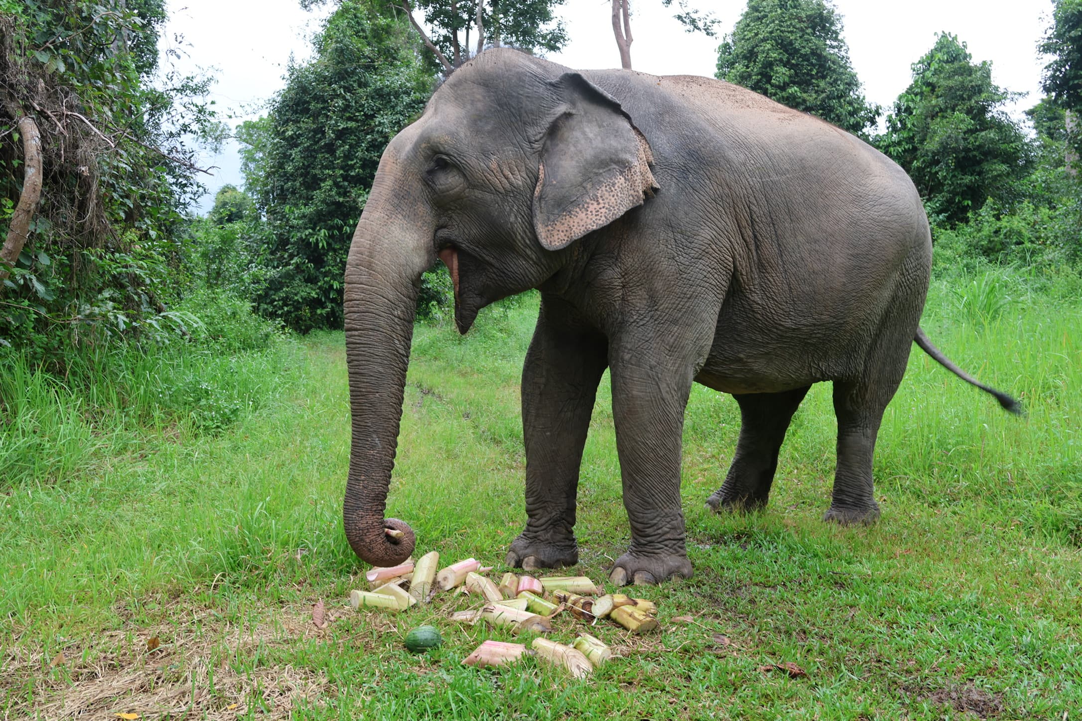Cambodia