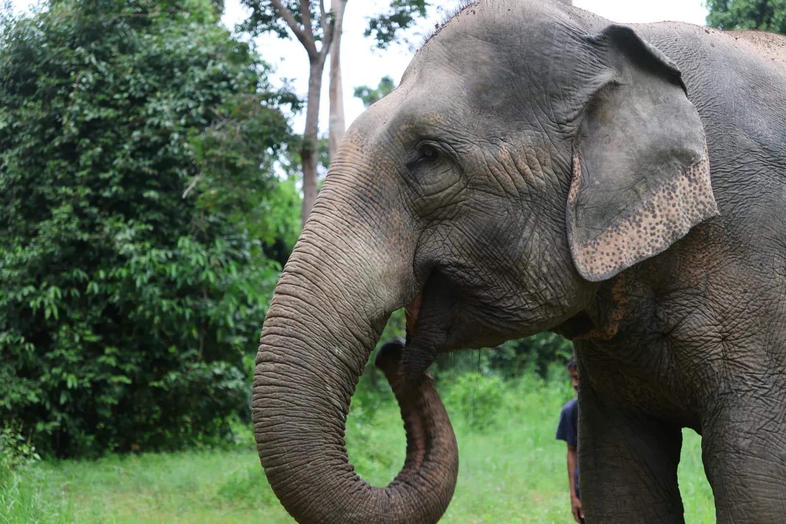 Volunteers and local community members collaborating for sustainable development and positive impact.