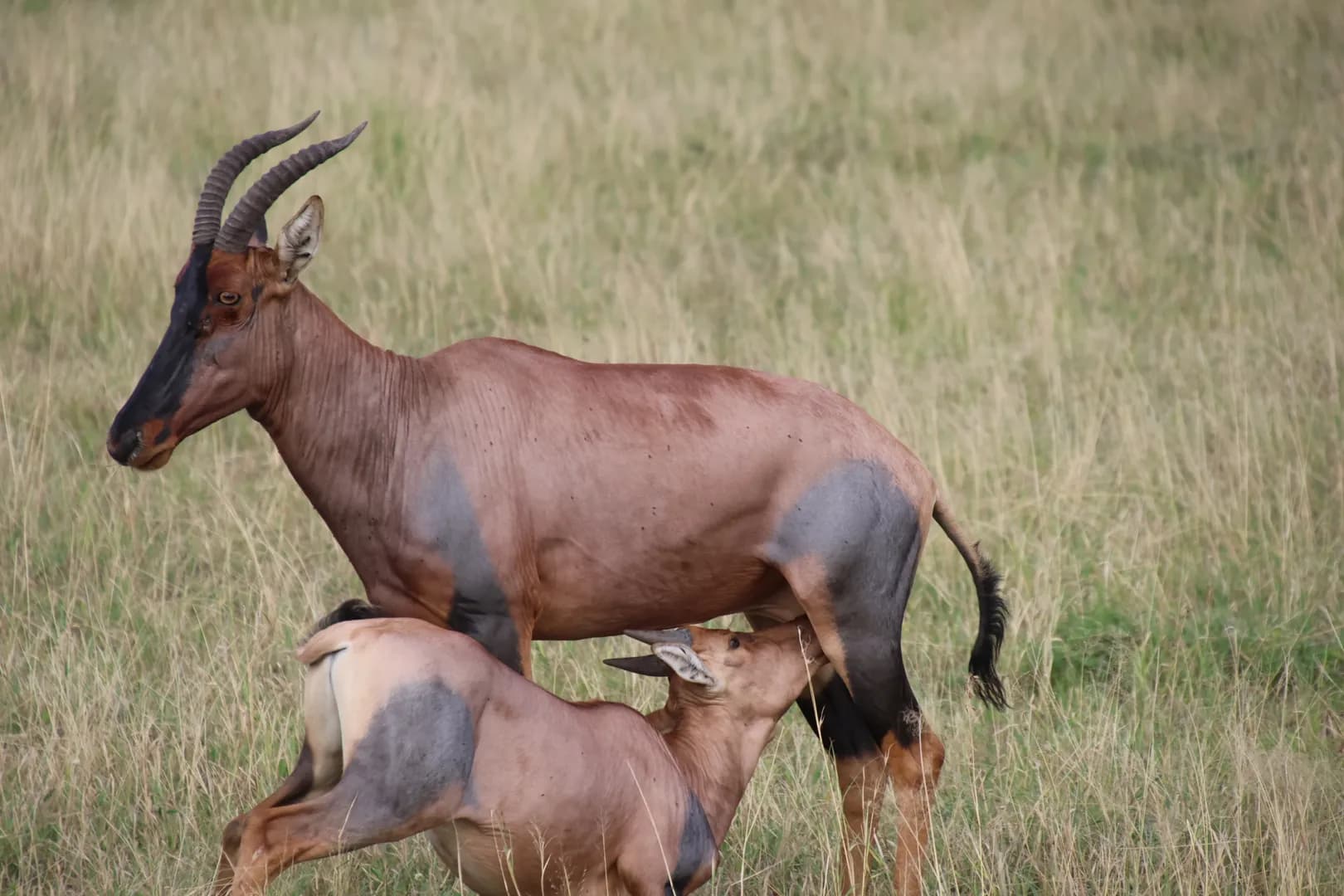 Ethical volunteer adventure in Tanzania, supporting local community development projects.