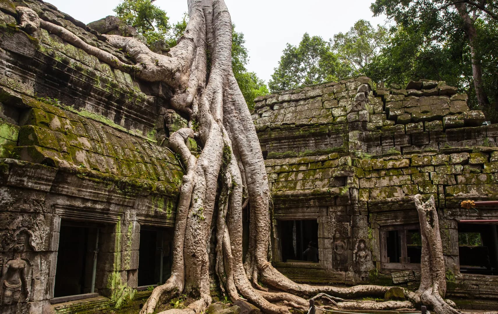 Journey to Siem Reap
