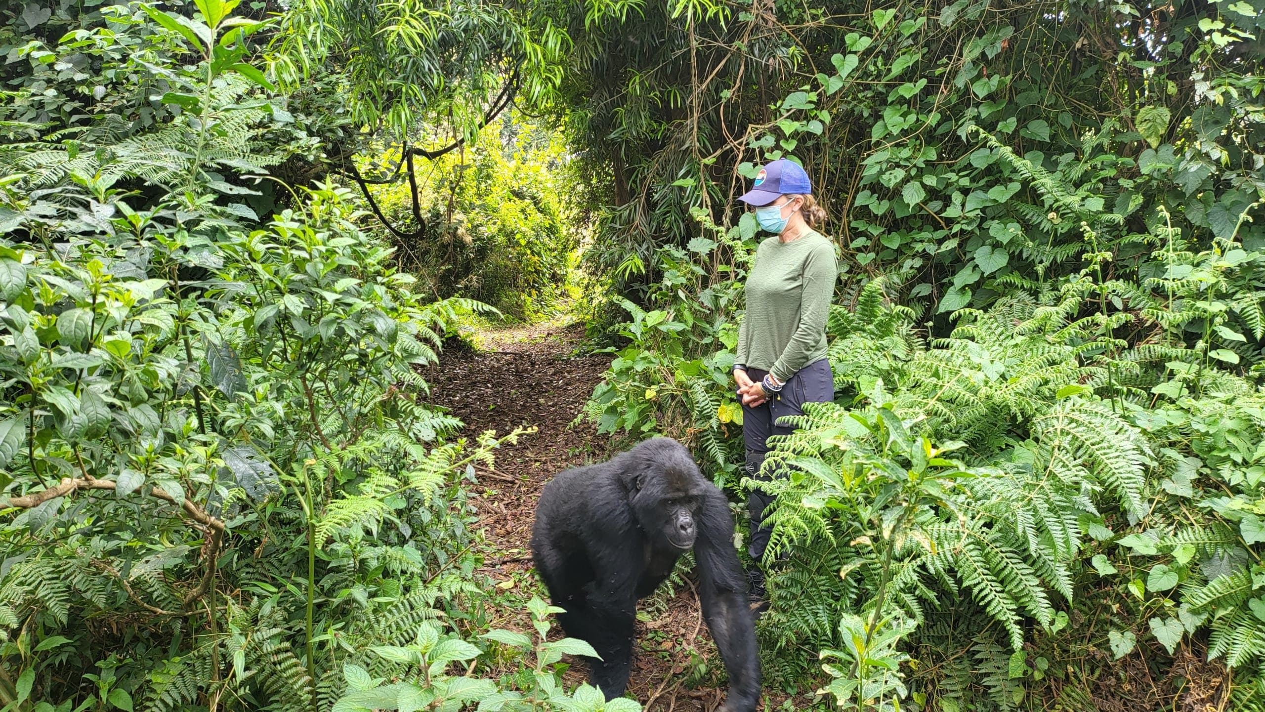 Bwindi Impenetrable Forest