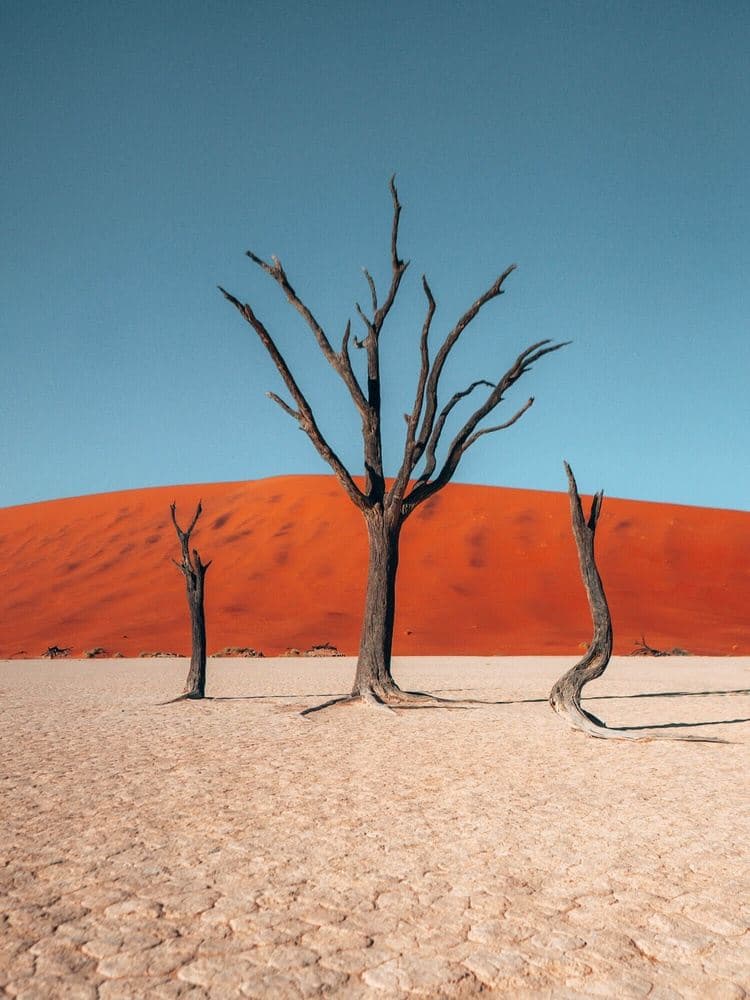 Sossusvlei - Image 2