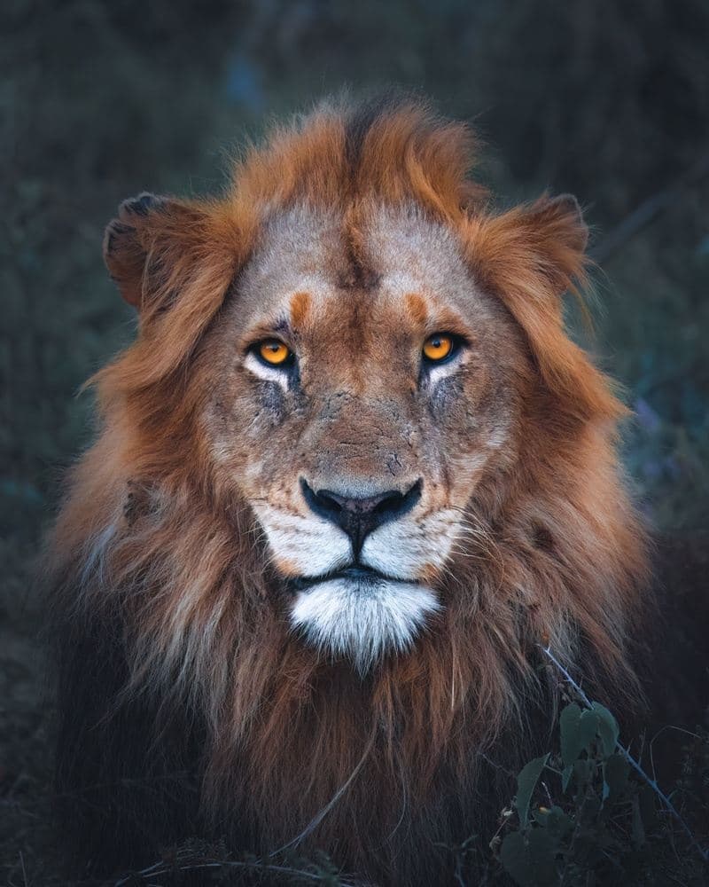 SA Conservation Workshop