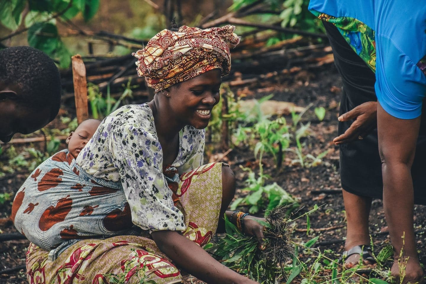 Discover Sierra Leone