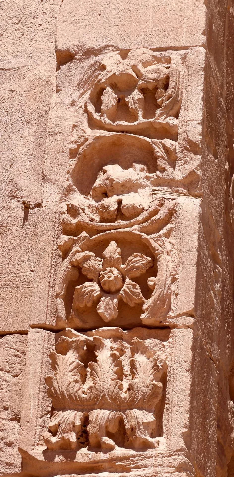 Finding Joy in Jordan