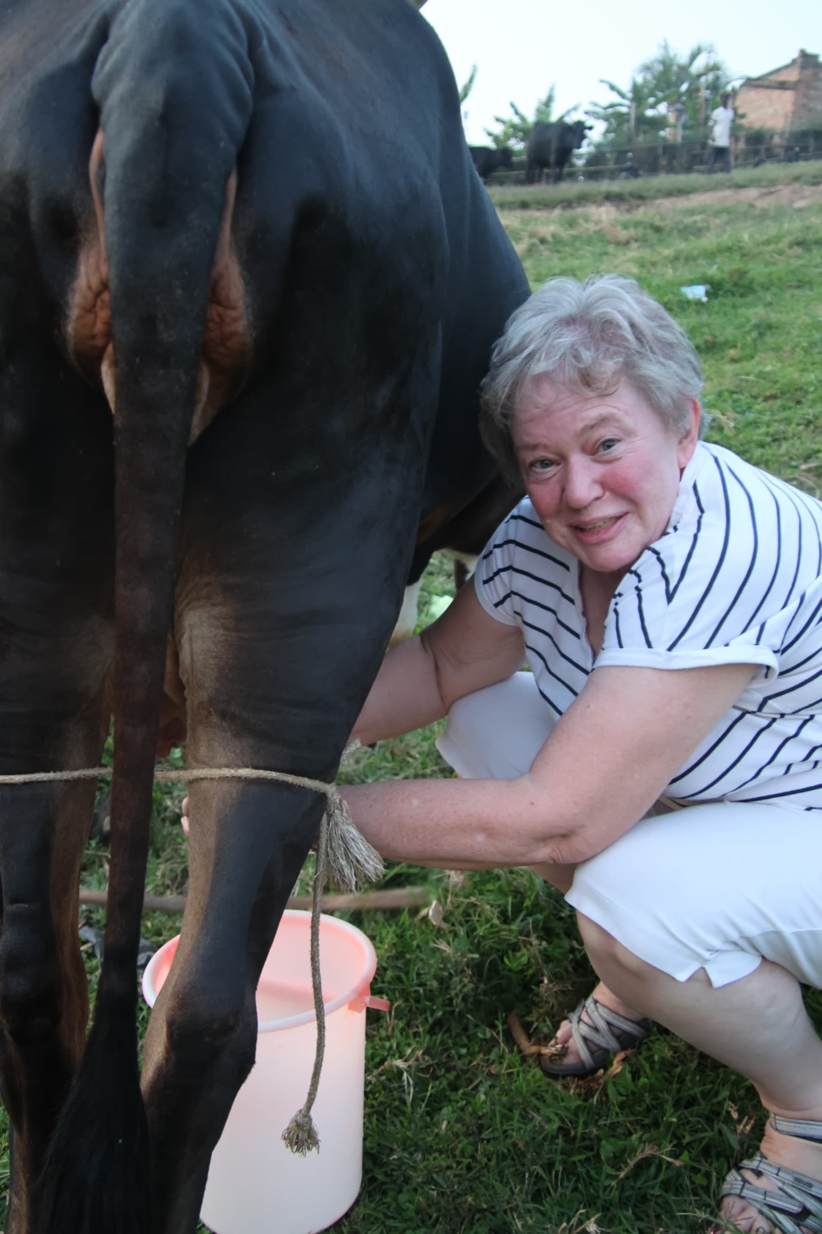 IS CULTURE SHOCK A THING?