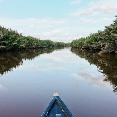 Poring Hot Springs & Deramakot