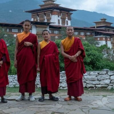 Black-Necked Cranes & Paro