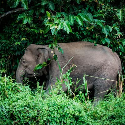 Arrival in Kota Kinabalu