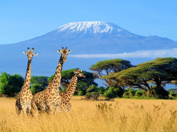 Ladies Mount Kilimanjaro Trek