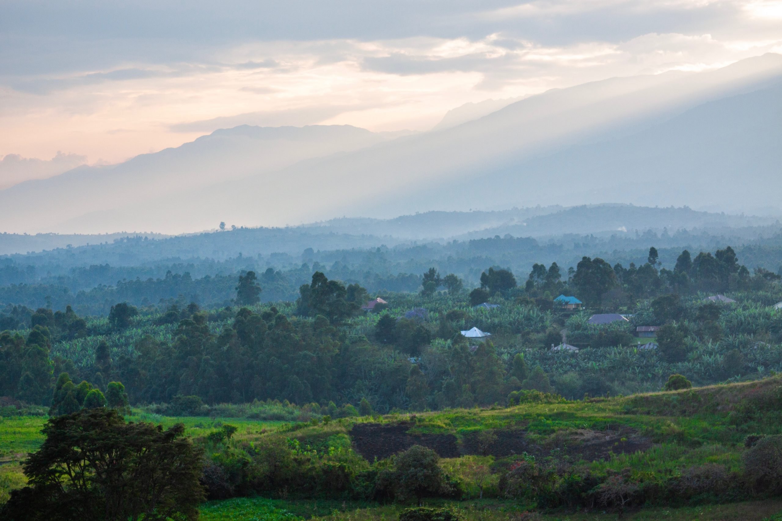 uganda view